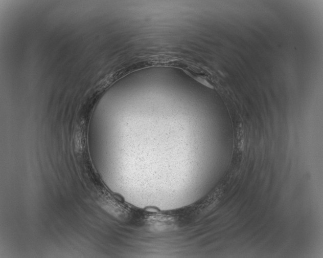 X0000080790515200701051357