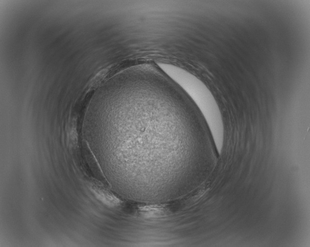 X0000080790516200701051357