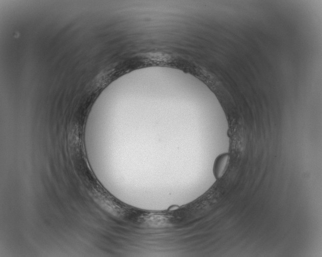 X0000080790518200701051357