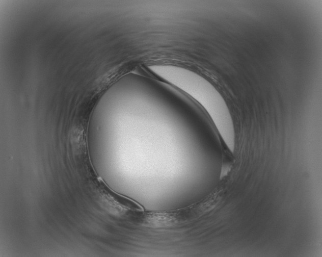 X0000080790521200701051357