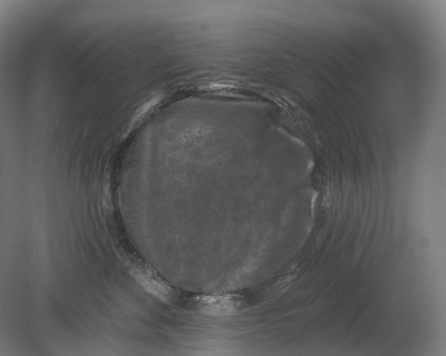 X0000080790524200701051357