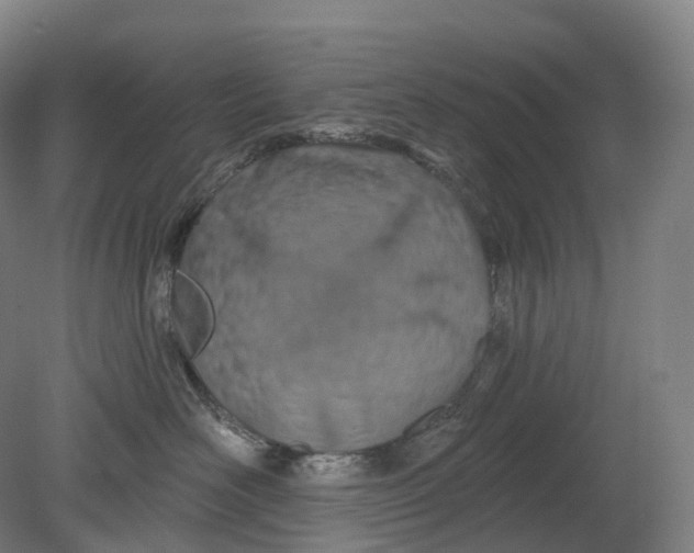 X0000080790526200701051357