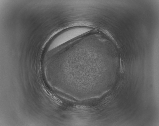 X0000080790531200701051356