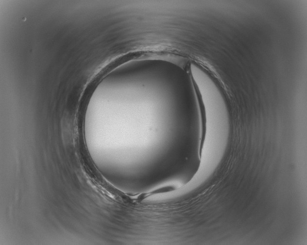 X0000080790532200701051356
