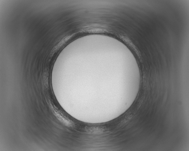 X0000080790533200701051356