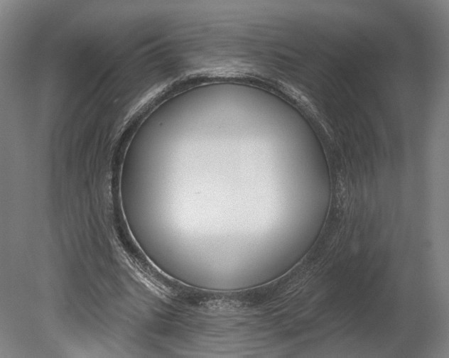 X0000080790535200701051356