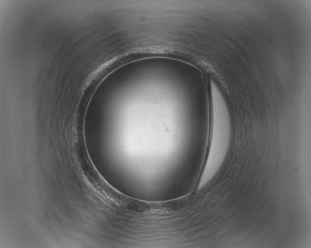 X0000080790536200701051356