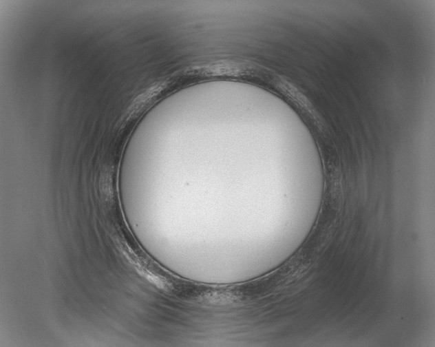 X0000080790537200701051356