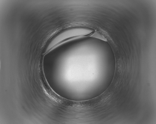 X0000080790538200701051356