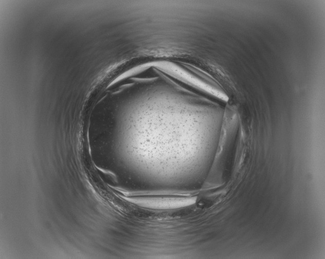 X0000080790540200701051356