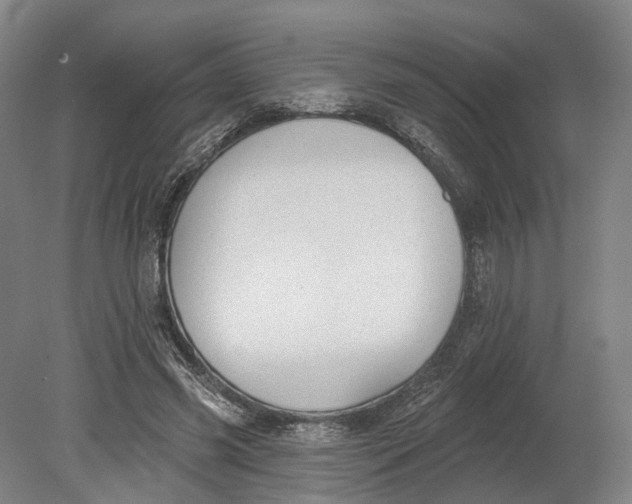 X0000080790541200701051356
