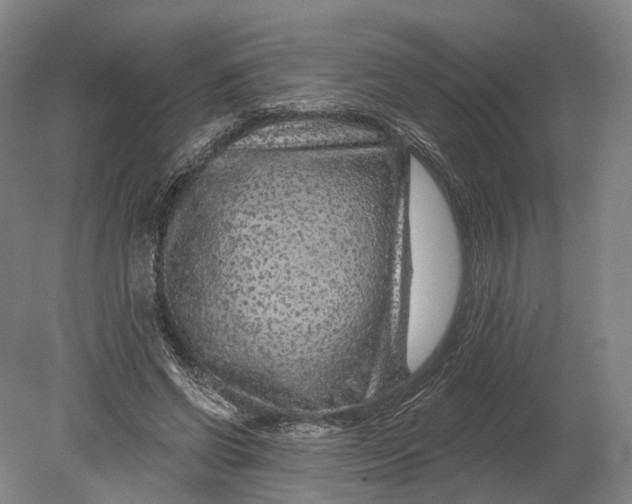 X0000080790542200701051356