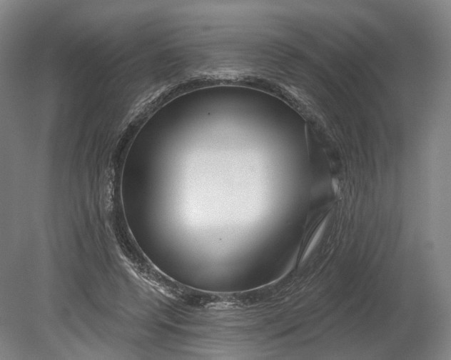 X0000080790544200701051356