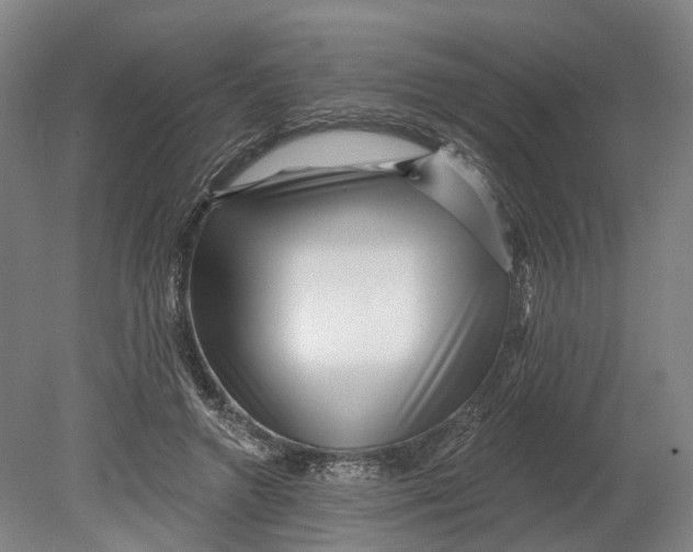 X0000080790546200701051356
