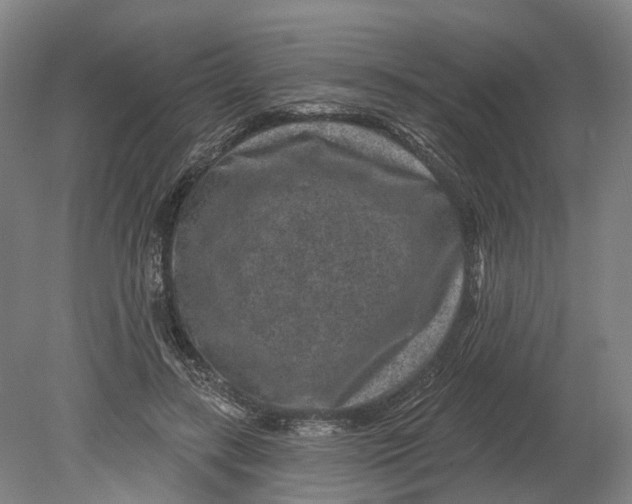 X0000080790547200701051356