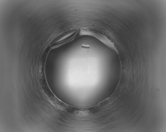 X0000080790548200701051356