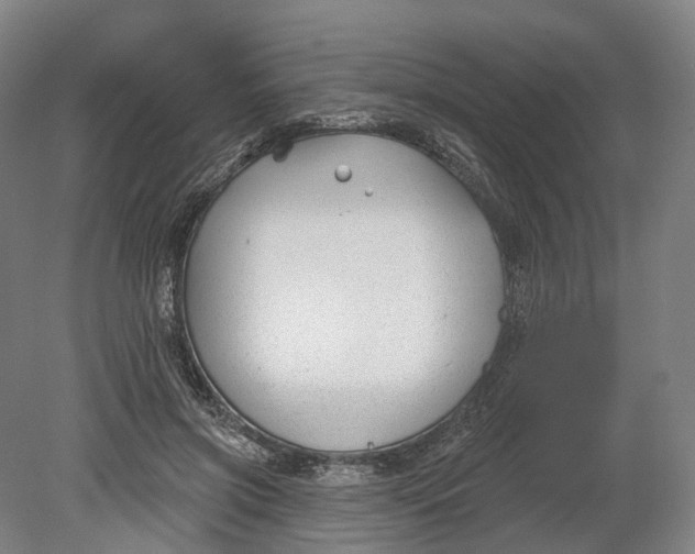 X0000080790549200701051356
