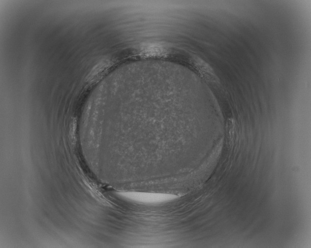 X0000080790550200701051356