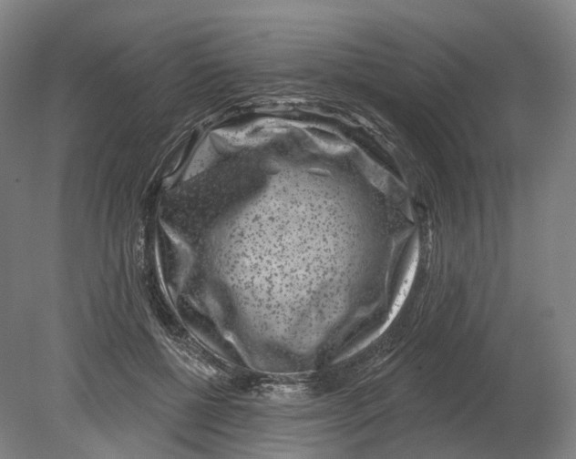 X0000080790552200701051356