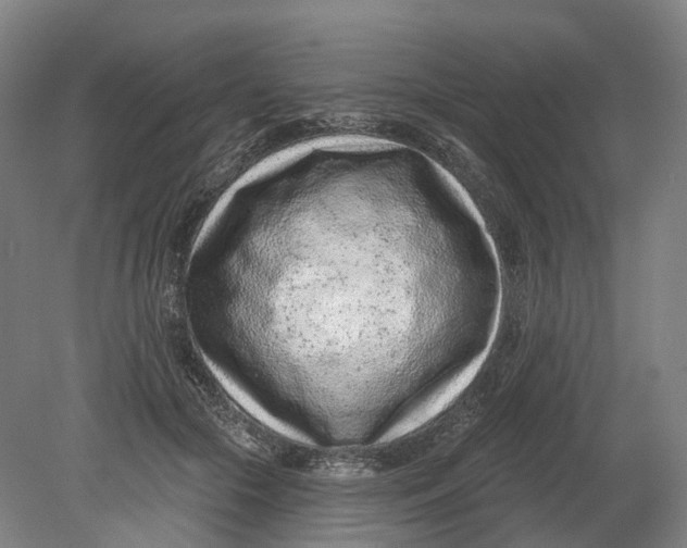 X0000080790553200701051356