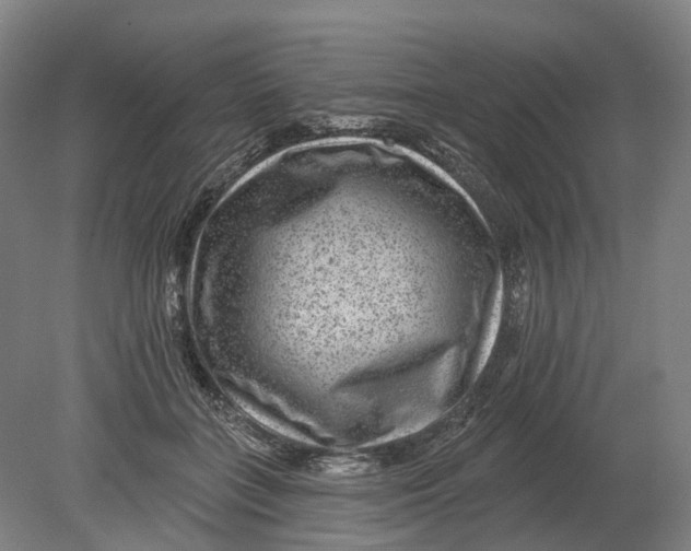 X0000080790555200701051356