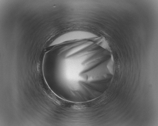 X0000080790556200701051356