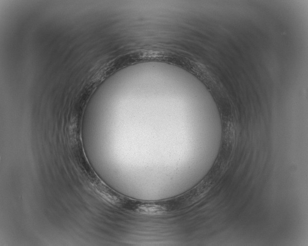 X0000080790557200701051356