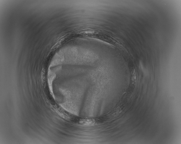X0000080790559200701051356