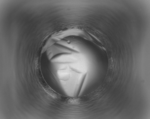X0000080790560200701051356