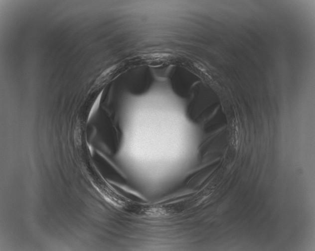 X0000080790562200701051356