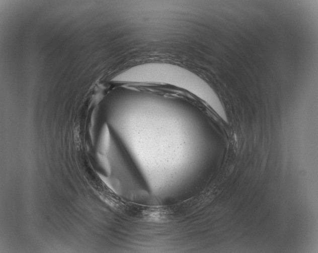 X0000080790564200701051356