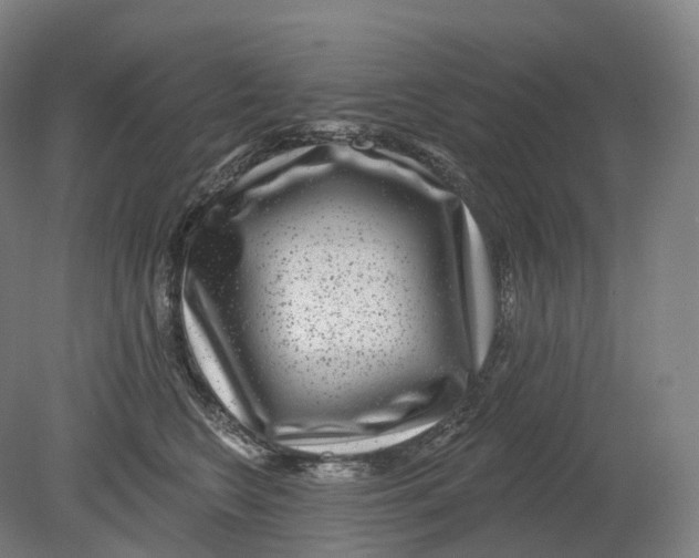 X0000080790566200701051356