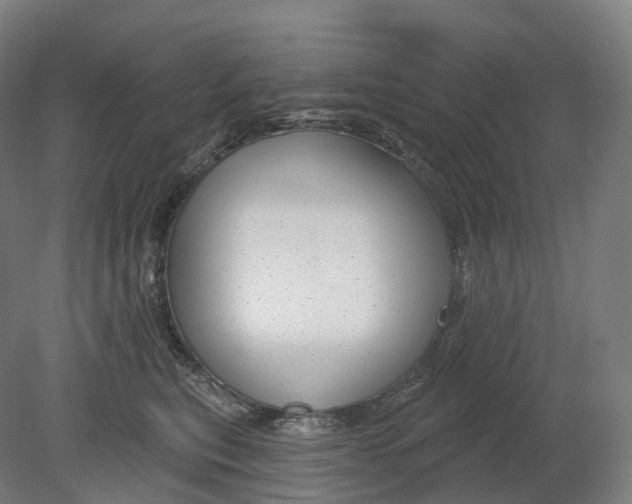 X0000080790567200701051356
