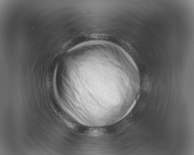 X0000080790569200701051356