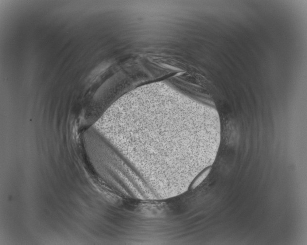 X0000080790571200701051356