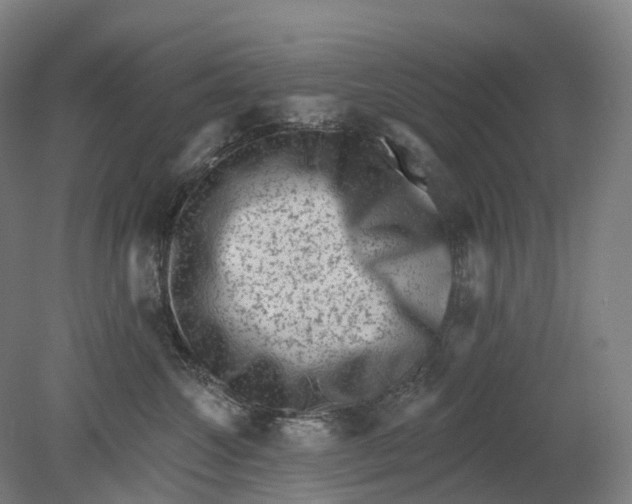 X0000080790572200701051356
