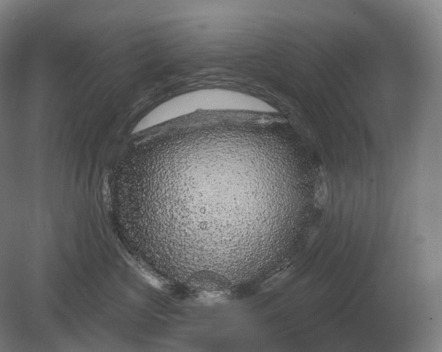 X0000080790573200701051356