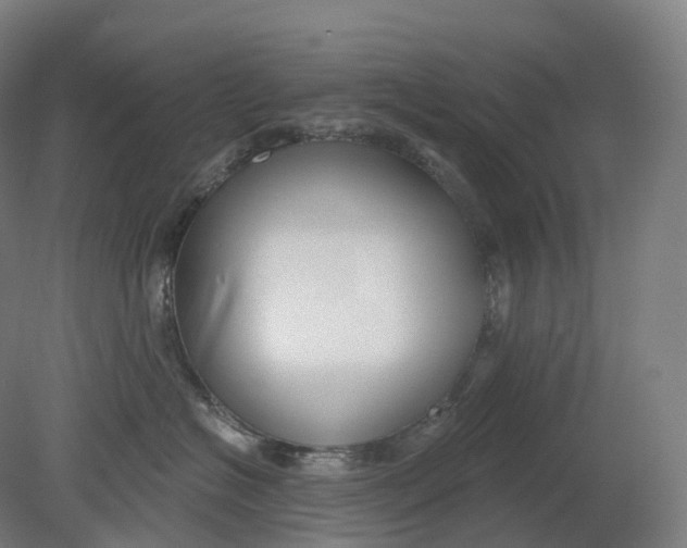 X0000080790574200701051356