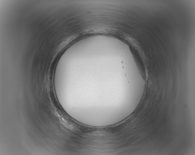 X0000080790578200701051356