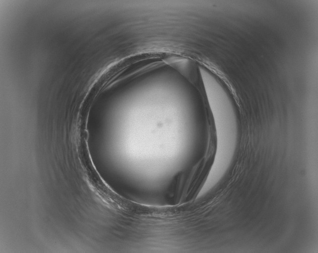 X0000080790580200701051356