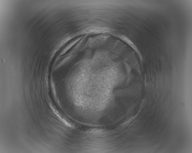 X0000080790581200701051356
