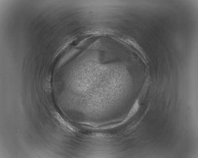 X0000080790585200701051356