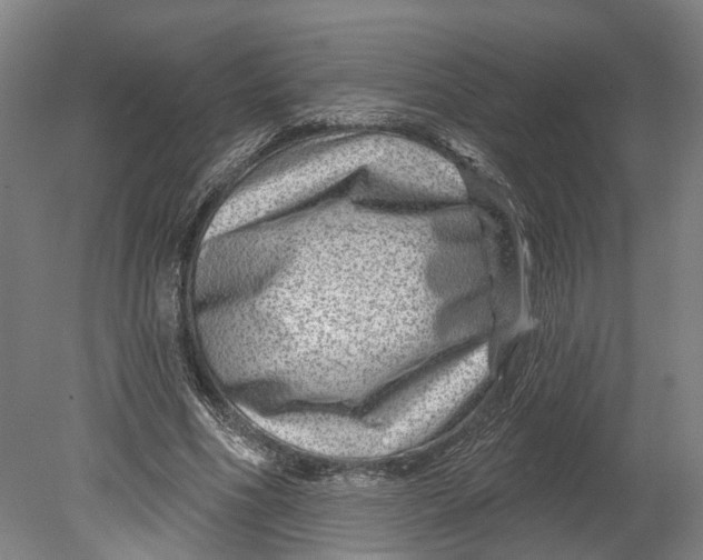 X0000080790586200701051356