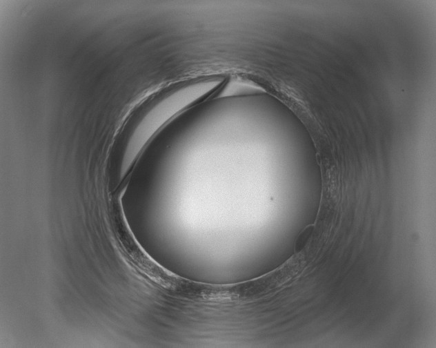 X0000080790587200701051356