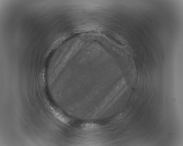 X0000080790590200701051355