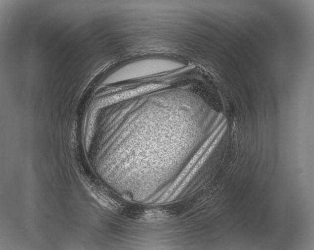 X0000080790591200701051355