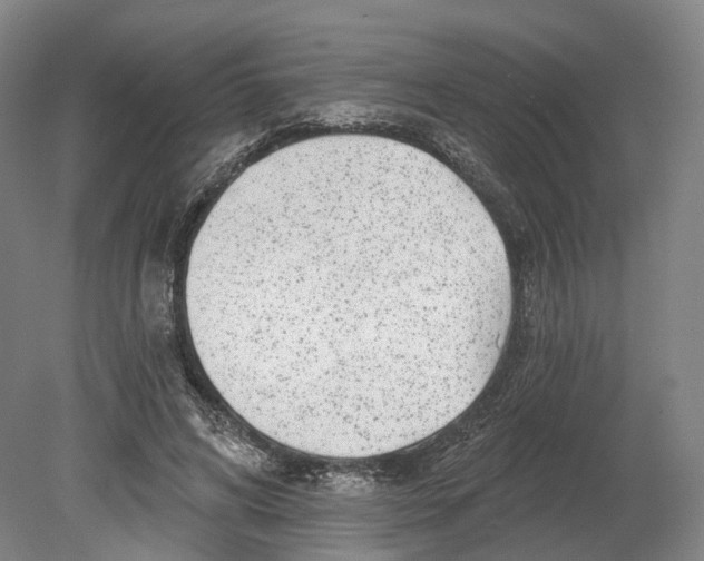 X0000080790592200701051355