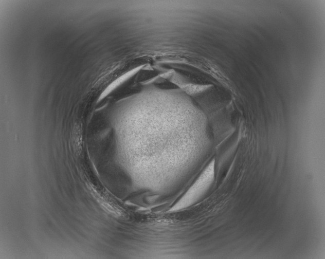 X0000080790593200701051355