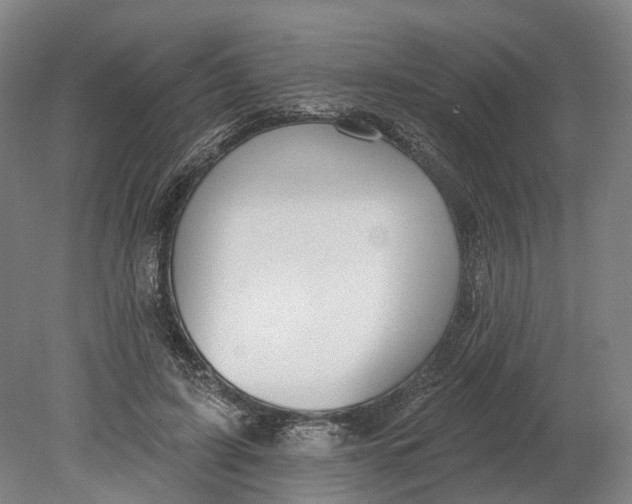 X0000080790595200701051355