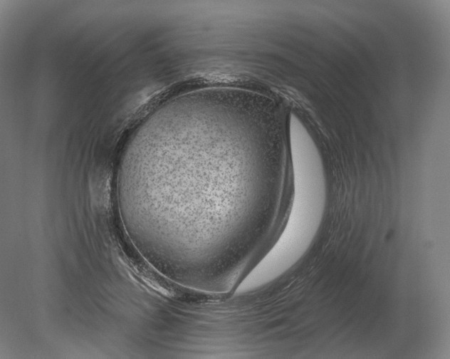 X0000080790596200701051355